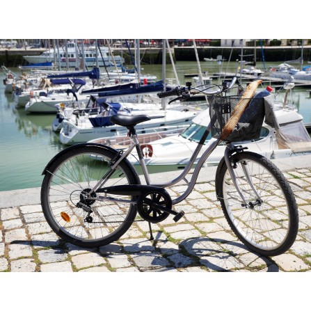 Panier acier fixation fixe 20L