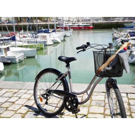 Panier acier fixation fixe 20L