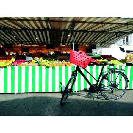 Panier Trendy One fixation avant MTS3 rouge