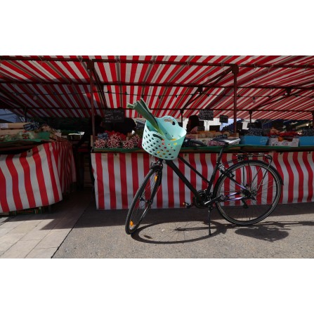 Panier Trendy One fixation avant MTS3 bleu clair