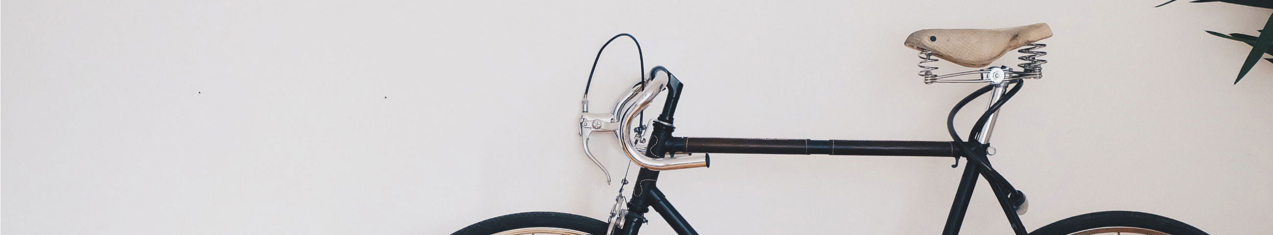 bike-header-pic